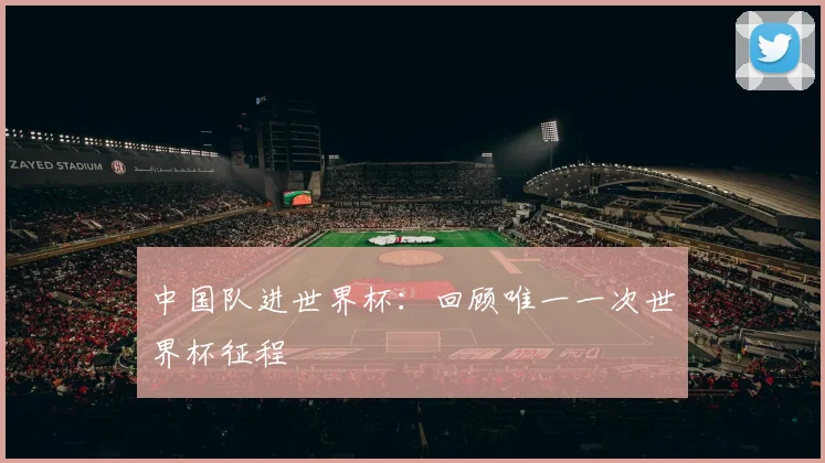中国队进世界杯：回顾唯一一次世界杯征程