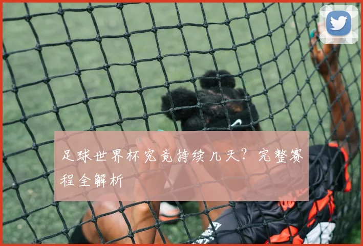 足球世界杯究竟持续几天？完整赛程全解析