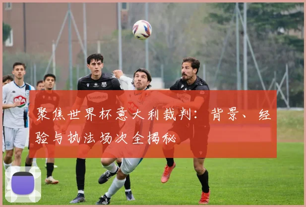 聚焦世界杯意大利裁判：背景、经验与执法场次全揭秘