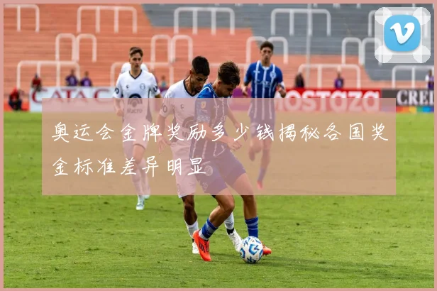奥运会金牌奖励多少钱揭秘各国奖金标准差异明显