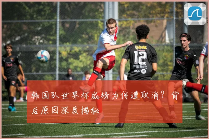 韩国队世界杯成绩为何遭取消?背后原因深度揭秘
