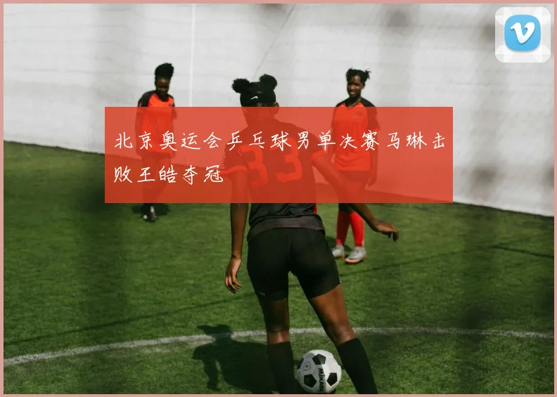 北京奥运会乒乓球男单决赛马琳击败王皓夺冠
