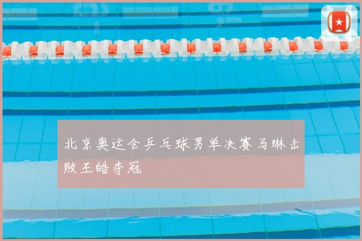 北京奥运会乒乓球男单决赛马琳击败王皓夺冠