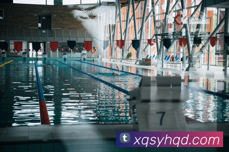 开云在线官网登录平台生态图